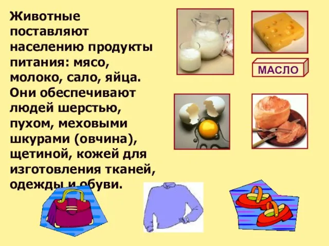 Животные поставляют населению продукты питания: мясо, молоко, сало, яйца. Они обеспечивают людей