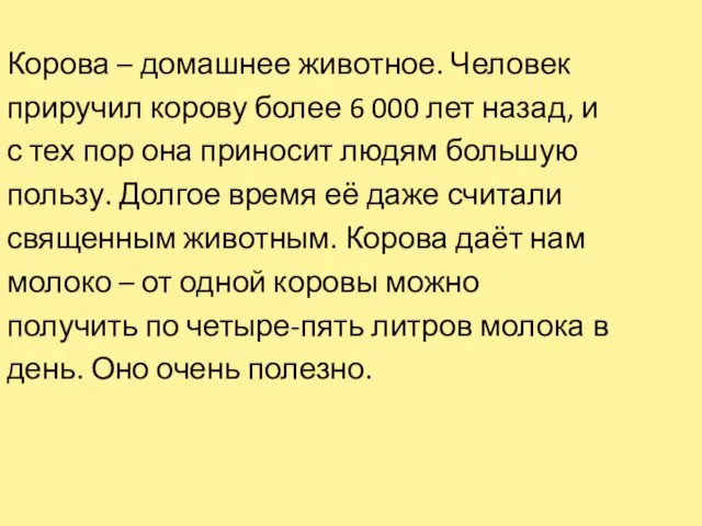 Корова – домашнее животное. Человек приручил корову более 6 000 лет назад,