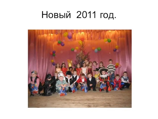 Новый 2011 год.