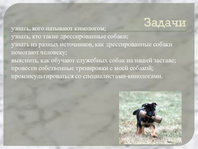 Задачи узнать, кого называют кинологом; узнать, кто такие дрессированные собаки; узнать из