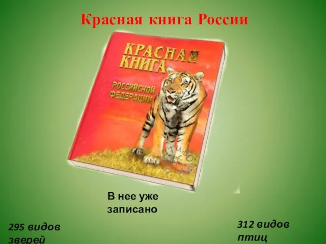 Красная книга России В нее уже записано 295 видов зверей 312 видов птиц