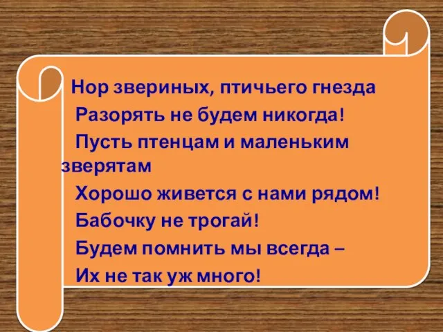 Нор звериных, птичьего гнезда Разорять не будем никогда! Пусть птенцам и маленьким