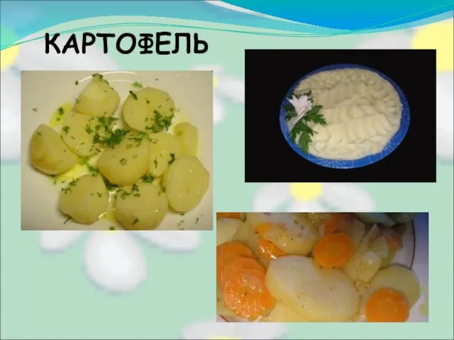 КАРТОФЕЛЬ