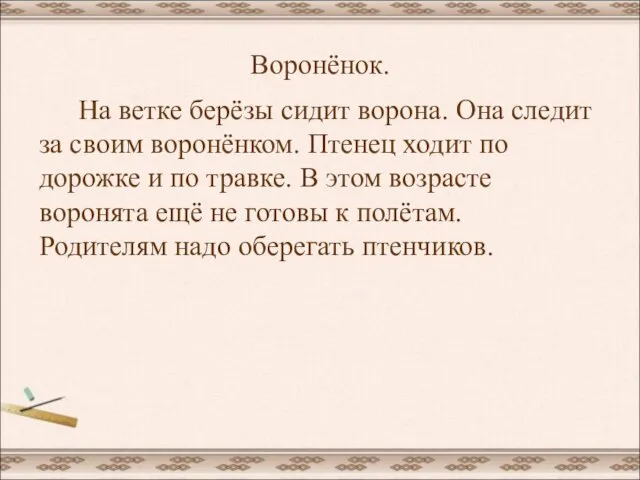 Воронёнок. На ветке берёзы сидит ворона. Она следит за своим воронёнком. Птенец