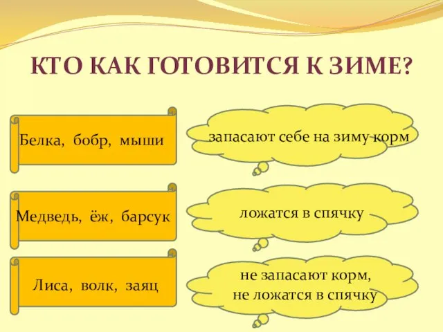 Кто как готовится к зиме? Белка, бобр, мыши