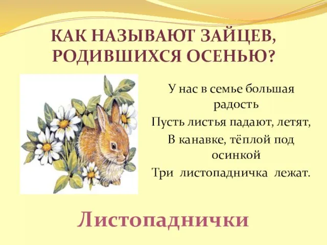 Как называют зайцев, родившихся осенью? У нас в семье большая радость Пусть