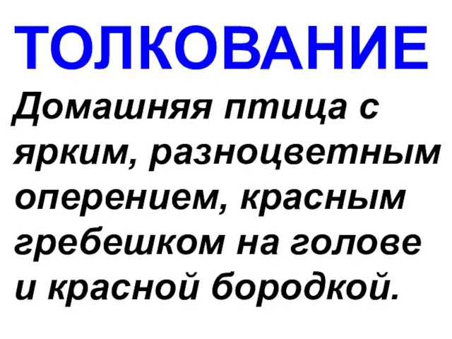 ТОЛКОВАНИЕ Домашняя птица с ярким, разноцветным оперением, красным гребешком на голове и красной бородкой.