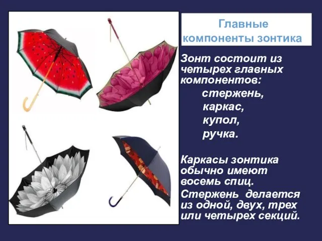Главные компоненты зонтика Зонт состоит из четырех главных компонентов: стержень, каркас, купол,