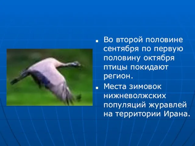 Во второй половине сентября по первую половину октября птицы покидают регион. Места