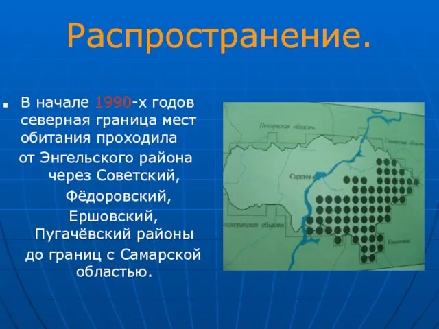 Распространение. В начале 1990-х годов северная граница мест обитания проходила от Энгельского