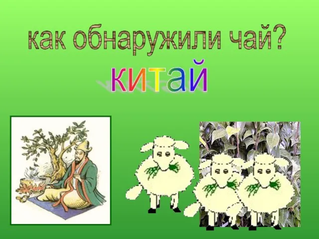 как обнаружили чай? китай