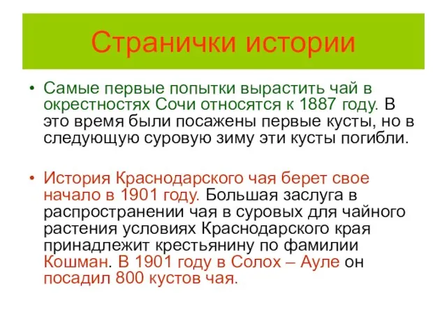 Странички истории Самые первые попытки вырастить чай в окрестностях Сочи относятся к