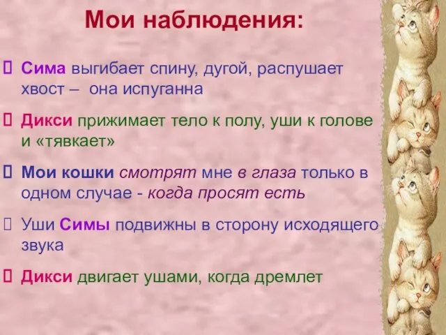 Мои наблюдения: Сима выгибает спину, дугой, распушает хвост – она испуганна Дикси