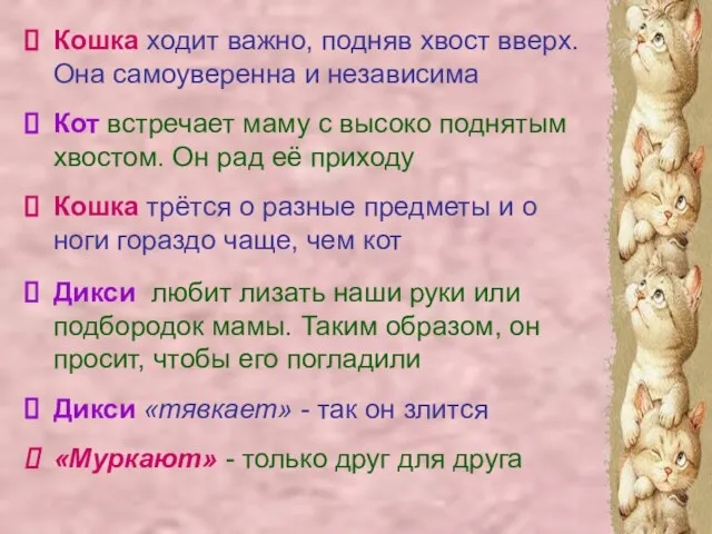 Кошка ходит важно, подняв хвост вверх. Она самоуверенна и независима Кот встречает