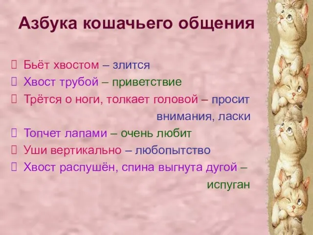 Азбука кошачьего общения Бьёт хвостом – злится Хвост трубой – приветствие Трётся