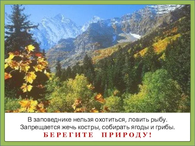 В заповеднике нельзя охотиться, ловить рыбу. Запрещается жечь костры, собирать ягоды и