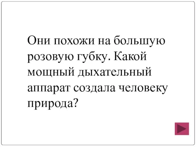 Они похожи на большую розовую губку. Какой мощный дыхательный аппарат создала человеку природа?