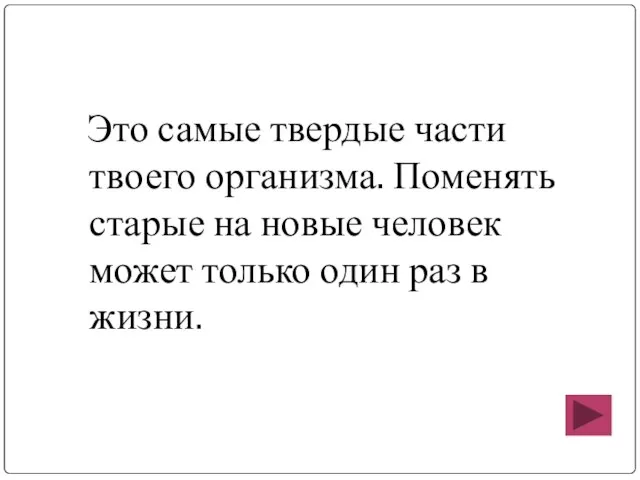 Это самые твердые части твоего организма. Поменять старые на новые человек может