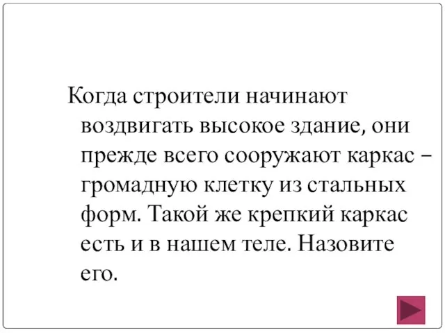 Когда строители начинают воздвигать высокое здание, они прежде всего сооружают каркас –