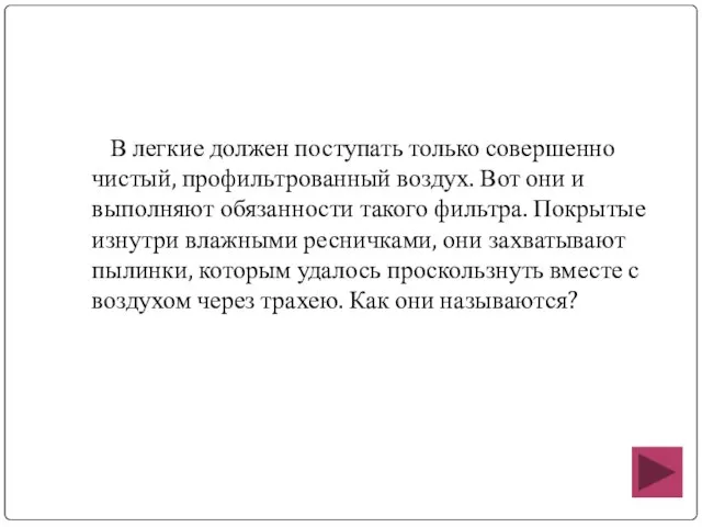 В легкие должен поступать только совершенно чистый, профильтрованный воздух. Вот они и