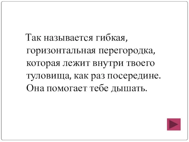 Так называется гибкая, горизонтальная перегородка, которая лежит внутри твоего туловища, как раз