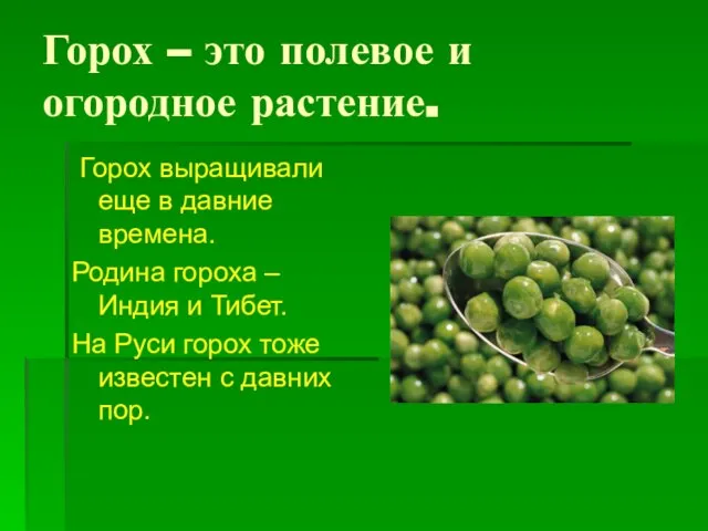 Горох – это полевое и огородное растение. Горох выращивали еще в давние