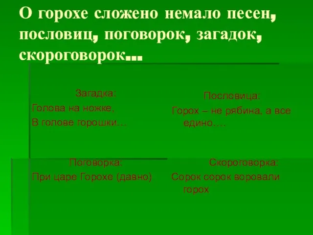 О горохе сложено немало песен, пословиц, поговорок, загадок, скороговорок… Загадка: Голова на