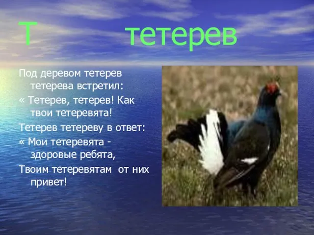 Т тетерев Под деревом тетерев тетерева встретил: « Тетерев, тетерев! Как твои