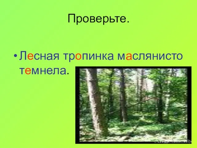 Проверьте. Лесная тропинка маслянисто темнела.