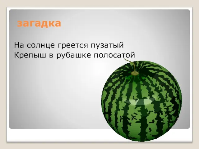 загадка На солнце греется пузатый Крепыш в рубашке полосатой