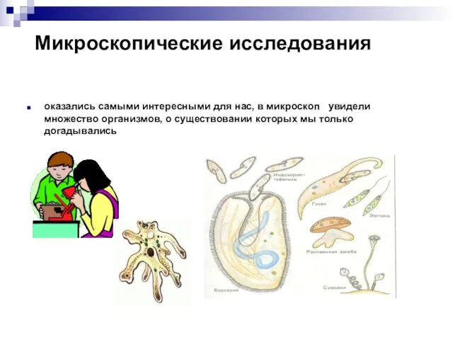 Микроскопические исследования оказались самыми интересными для нас, в микроскоп увидели множество организмов,