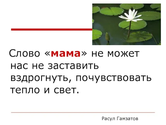 Слово «мама» не может нас не заставить вздрогнуть, почувствовать тепло и свет. Расул Гамзатов