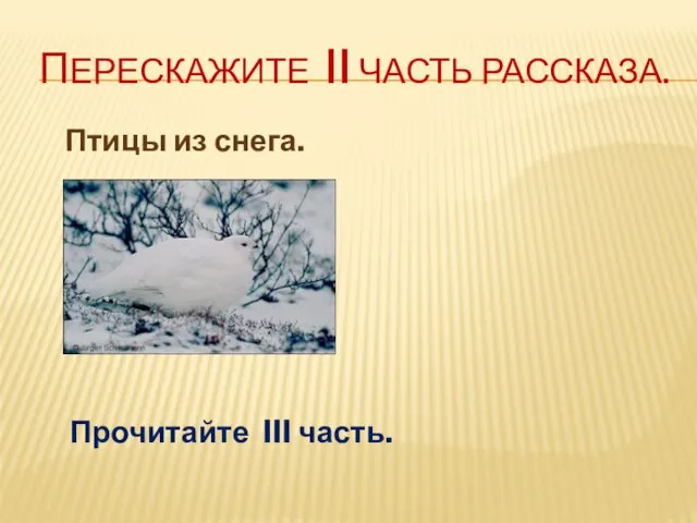 Перескажите II часть рассказа. Птицы из снега. Прочитайте III часть.