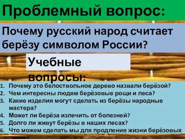 Проблемный вопрос: Почему это белоствольное дерево назвали берёзой? Чем интересны людям берёзовые