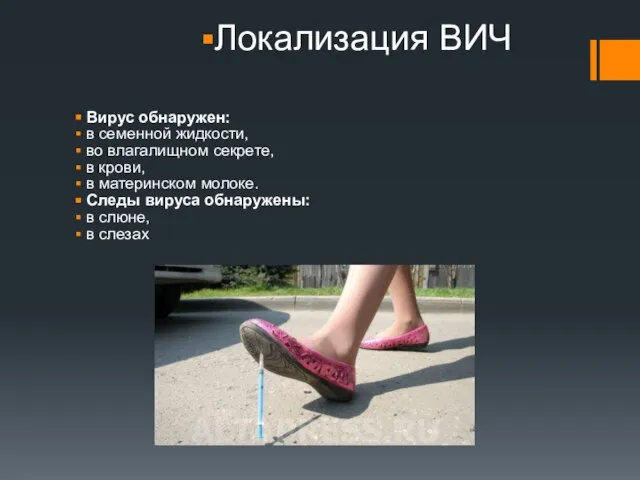 Локализация ВИЧ Вирус обнаружен: в семенной жидкости, во влагалищном секрете, в крови,