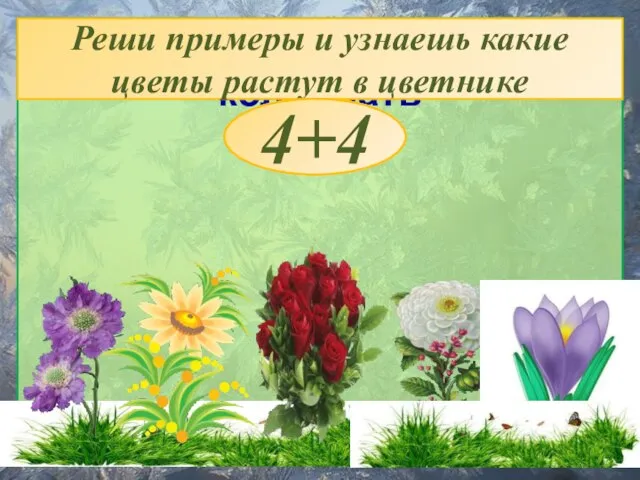 Цветник женщины, умевшей колдовать Реши примеры и узнаешь какие цветы растут в