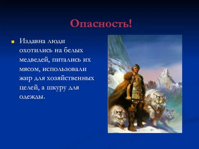 Опасность! Издавна люди охотились на белых медведей, питались их мясом, использовали жир