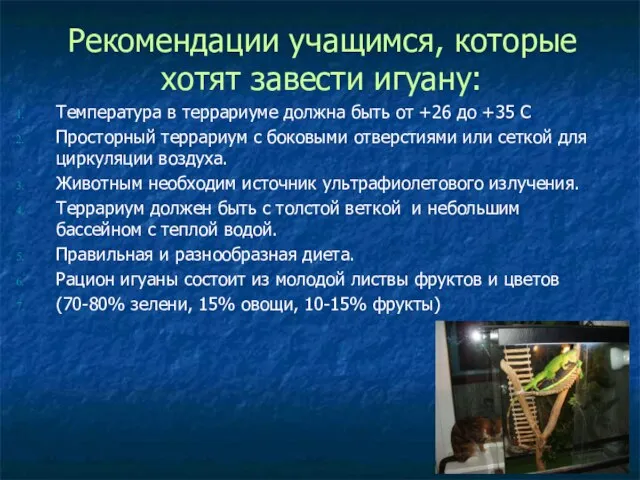 Рекомендации учащимся, которые хотят завести игуану: Температура в террариуме должна быть от