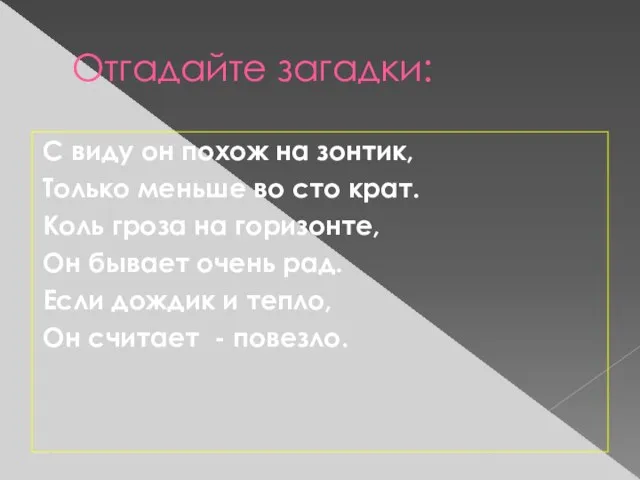 Отгадайте загадки: С виду он похож на зонтик, Только меньше во сто