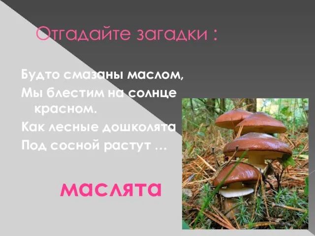 Отгадайте загадки : Будто смазаны маслом, Мы блестим на солнце красном. Как