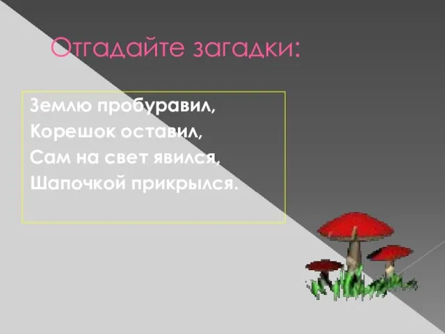 Отгадайте загадки: Землю пробуравил, Корешок оставил, Сам на свет явился, Шапочкой прикрылся.