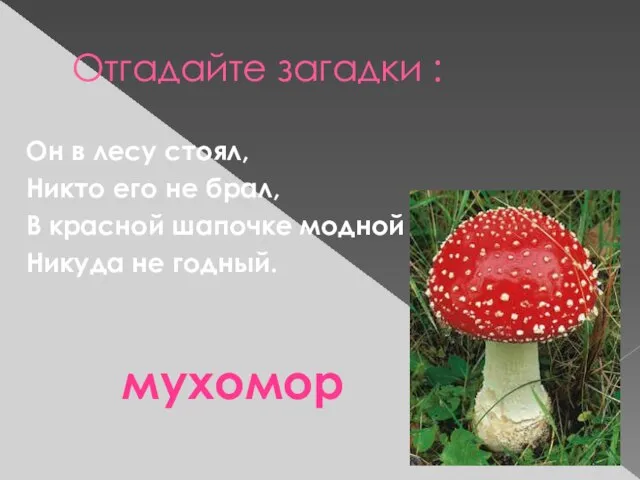 Отгадайте загадки : Он в лесу стоял, Никто его не брал, В