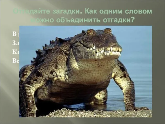 Отгадайте загадки. Как одним словом можно объединить отгадки? В реках Африки живёт,