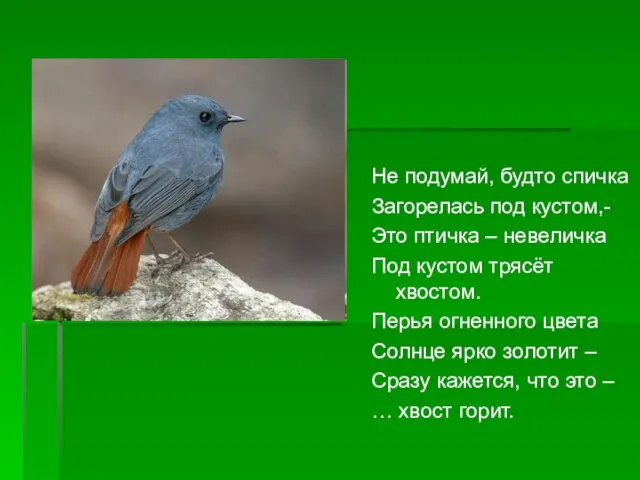 Не подумай, будто спичка Загорелась под кустом,- Это птичка – невеличка Под