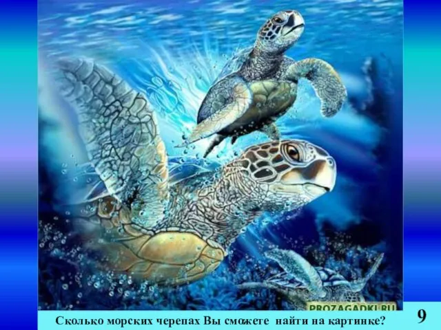 Сколько морских черепах Вы сможете найти на картинке? 9