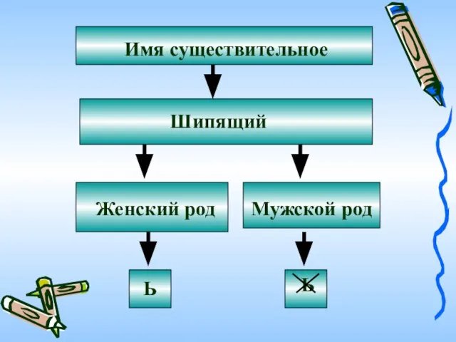 Имя существительное Шипящий Женский род Мужской род Ь Ь