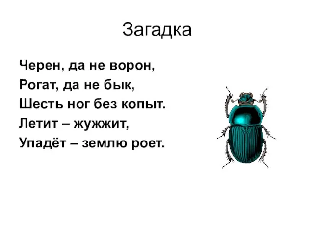 Загадка Черен, да не ворон, Рогат, да не бык, Шесть ног без