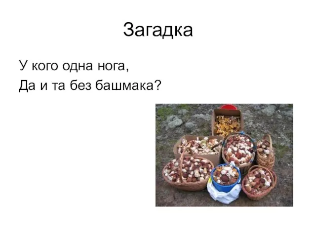 Загадка У кого одна нога, Да и та без башмака?