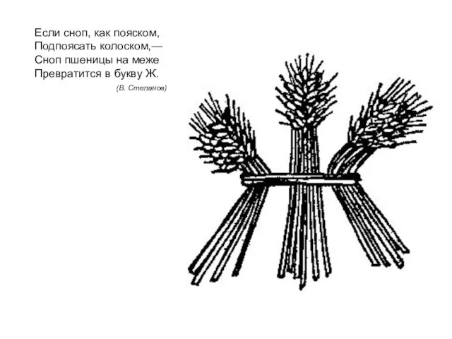 Если сноп, как пояском, Подпоясать колоском,— Сноп пшеницы на меже Превратится в букву Ж. (В. Степанов)