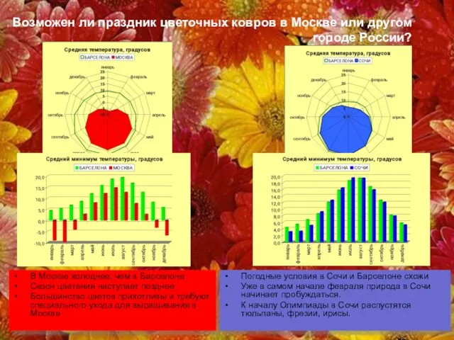 Возможен ли праздник цветочных ковров в Москве или другом городе России? В